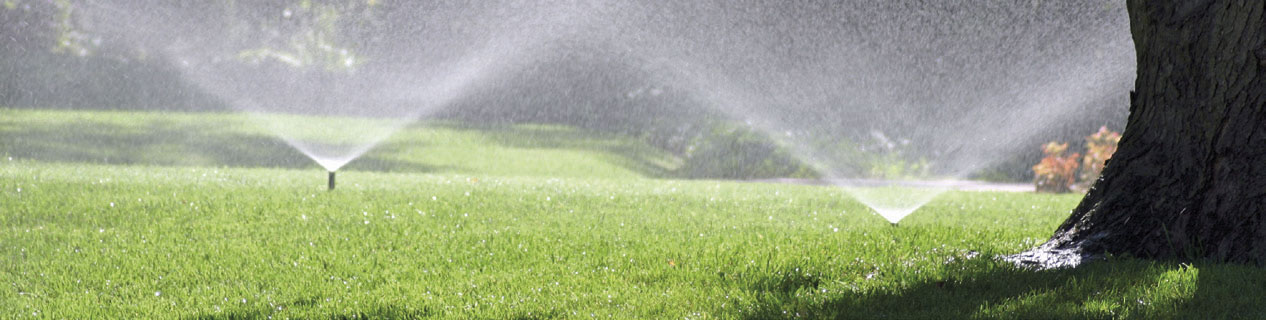 Prato del sistema di irrigazione del giardino irrigatore automatico del  prato inglese che innaffia l'erba verde fuoco selettivo generativo ai